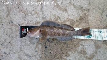 ʥ