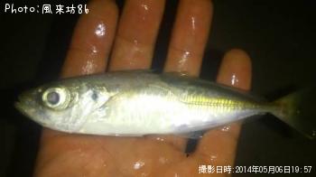 アジ