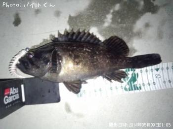 クロソイ