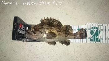クロソイ