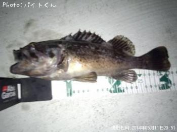 クロソイ