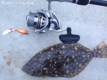 ヒラメ