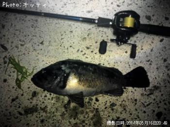 クロソイ