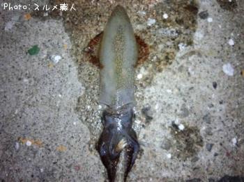 ベイカ
