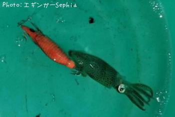 ヒイカ