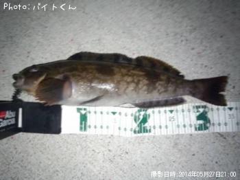 ʥ