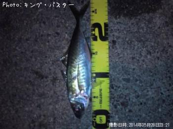 アジ