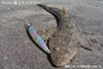 ޥ