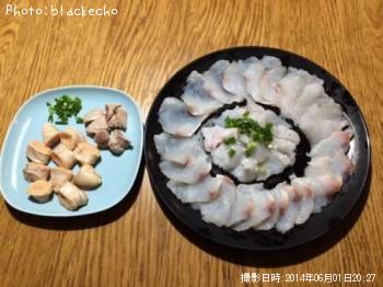 マゴチ
