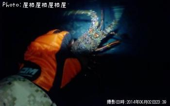 伊勢海老