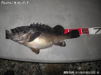 クロソイ