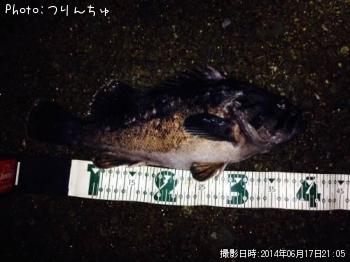 クロソイ