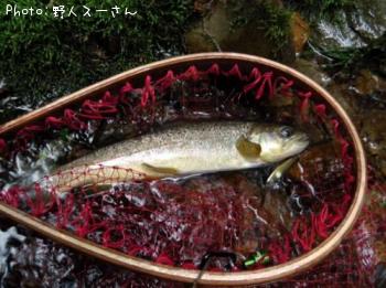 ֥饦ȥ饦