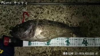 クロソイ