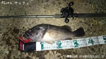 クロソイ