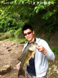 ブラックバス