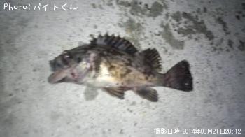 クロソイ