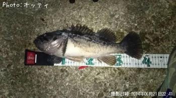 クロソイ