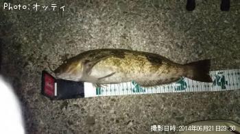 クロソイ