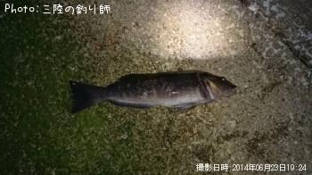 ʥ
