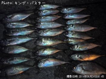 アジ