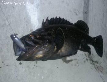 クロソイ