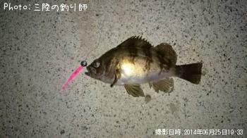 メバル
