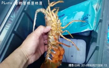 伊勢海老