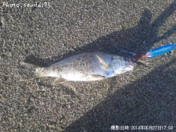 イシモチ