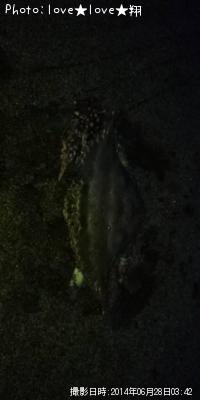 勵ꥬ