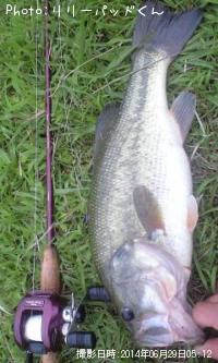 ＢＬＡＣＫ　ＢＡＳＳ