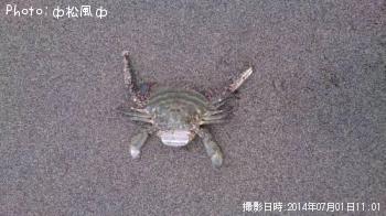 勵ꥬ