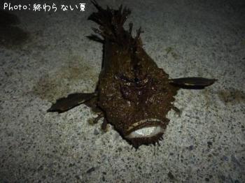 ˥