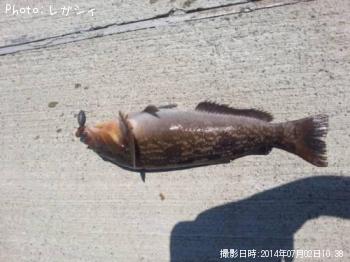 ʥ