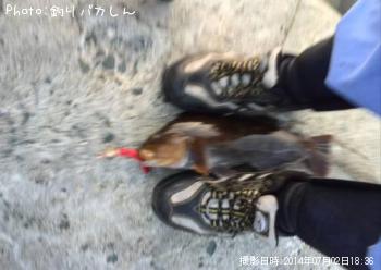 ʥ