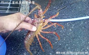 伊勢海老