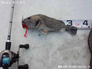 ʥ