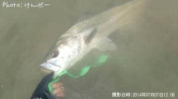 Х
