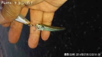 イワシ