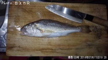 イシモチ
