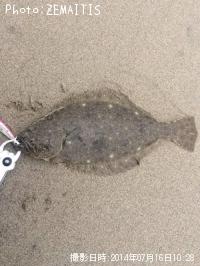 ҥ