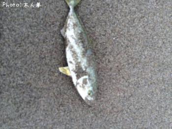 ʥ