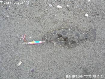 ソゲ