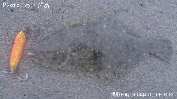 ソゲ