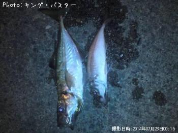 アジ