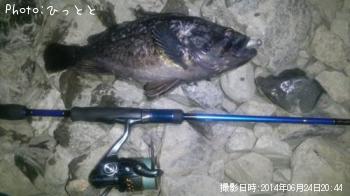 クロソイ