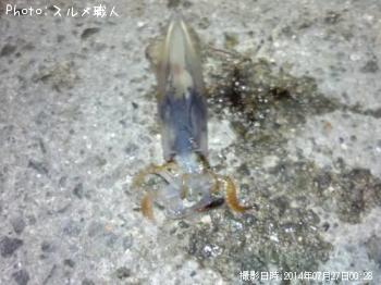 ベイカ