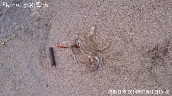 勵ꥬ