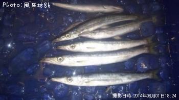 ߥޥ