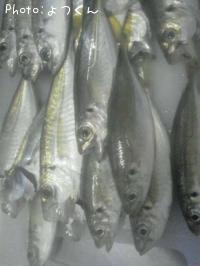 アジ